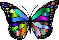multicolored butterfly with black outlinei