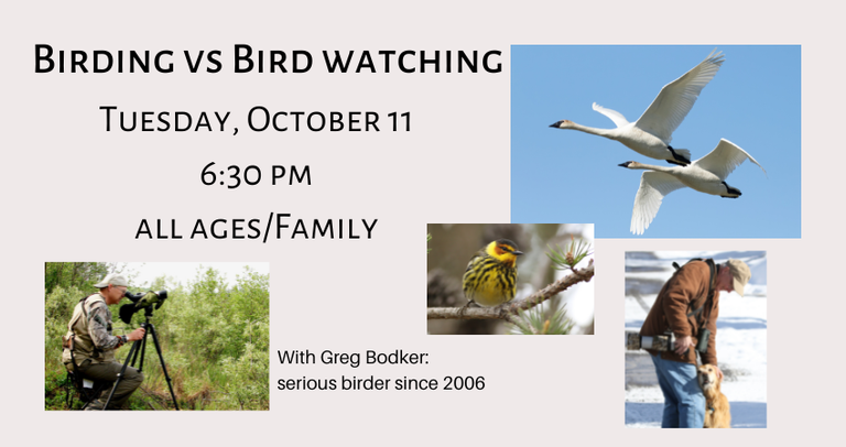 Birding vs Bird watching(1).png