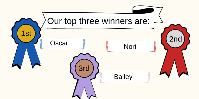DYP Contest winners.png