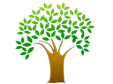 Family Tree.png