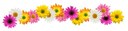 flower border 3.jpg