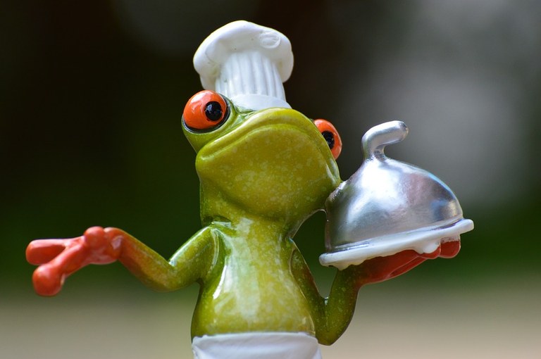 frogie chef.jpg