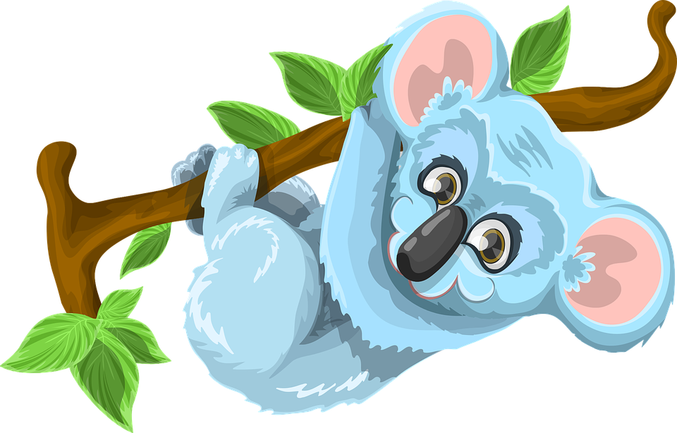 koala-1459298_960_720.png