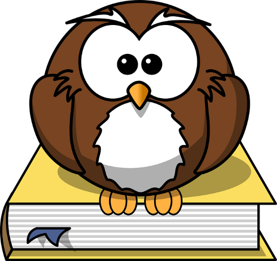 owl on book.png