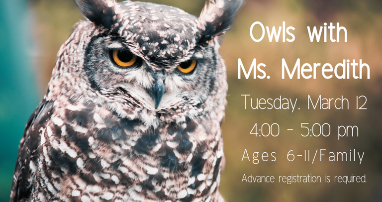 Owls with Ms. Meredith.png