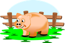 pig.png