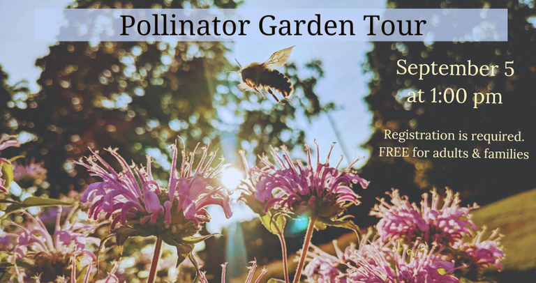 Pollinator Garden Tour(1).png