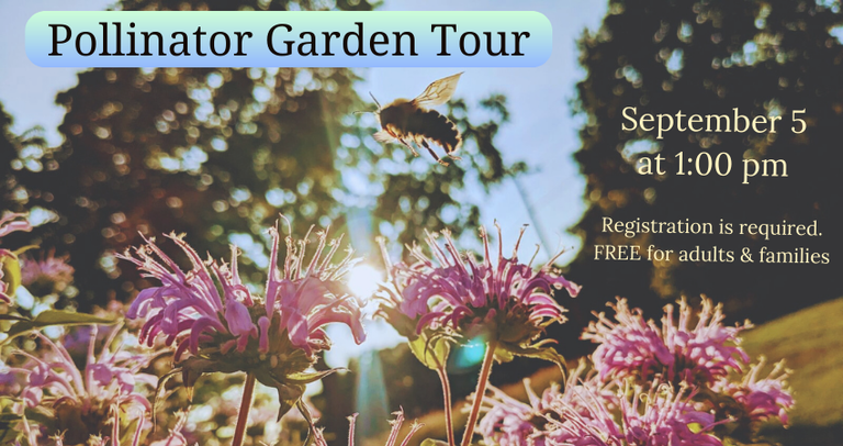 Pollinator Garden Tour.png
