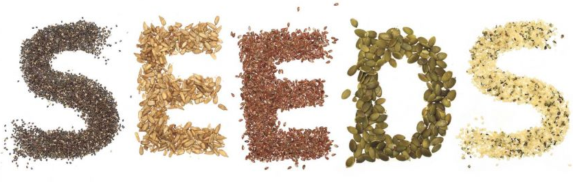 Seeds 2.png