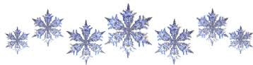 snowflake divider.jpg