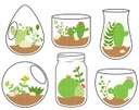 Terrarium 1.jpg