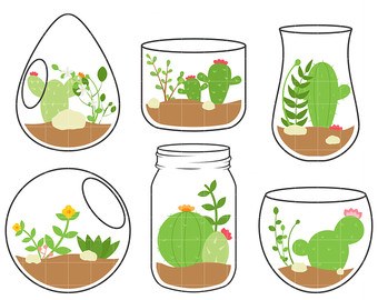 Terrarium 1.jpg