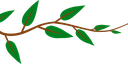 Tree Branch.png
