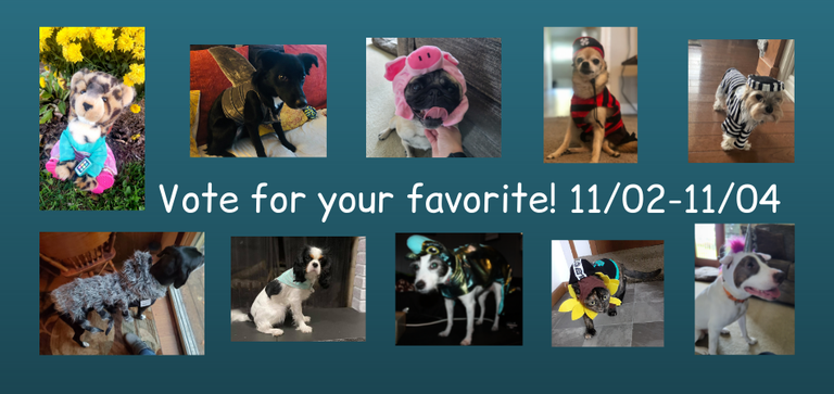 Voting link for Dress up Your Pet Contest.png