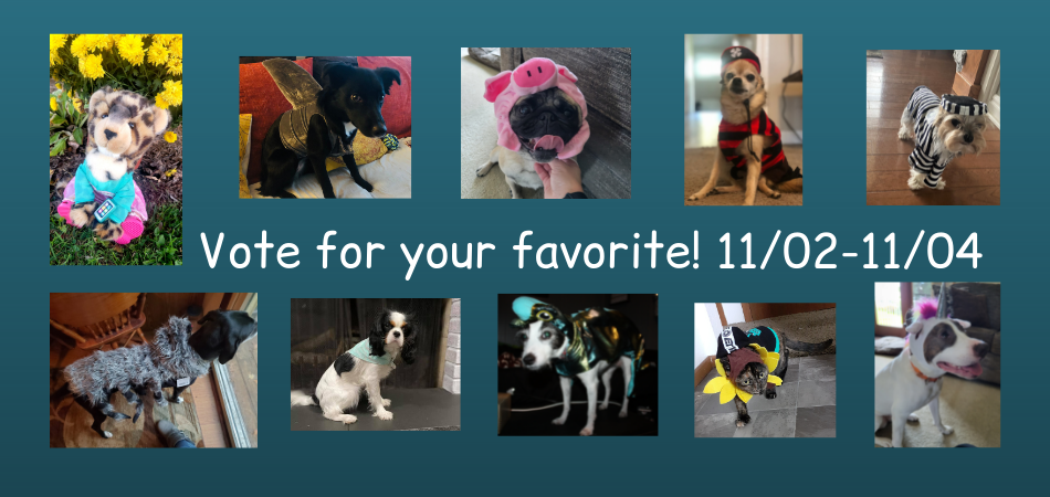 Voting link for Dress up Your Pet Contest.png