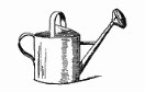 Watering Can.jpg